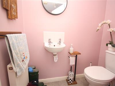 Picture 7
